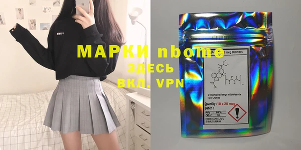 бошки Бронницы