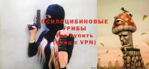 соль курить ск Бородино
