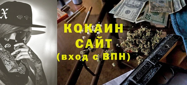 бошки Бронницы