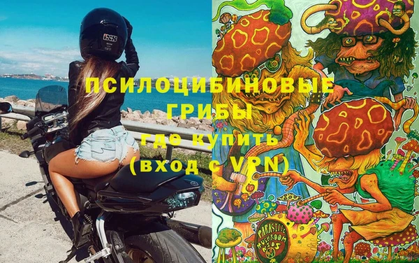 бошки Бронницы