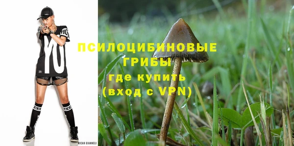 бошки Бронницы