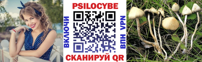 Псилоцибиновые грибы Magic Shrooms  Купить закладки  Каргополь 